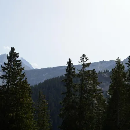 1850 Duplex Mezzanine 6 Pers, Aux Pieds, Parking - Fr-1-575-2 *