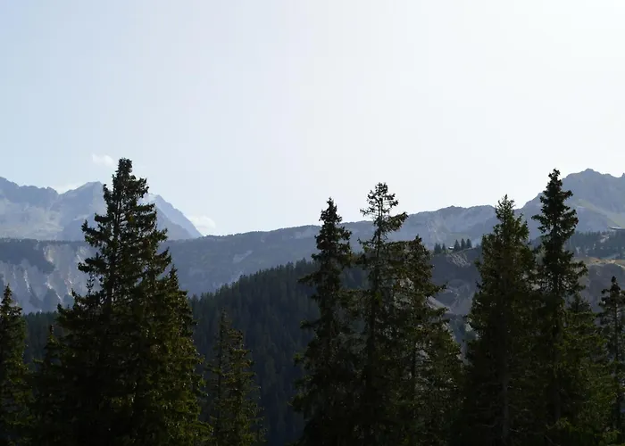 1850 Duplex Mezzanine 6 Pers, Aux Pieds, Parking - Fr-1-575-2 *